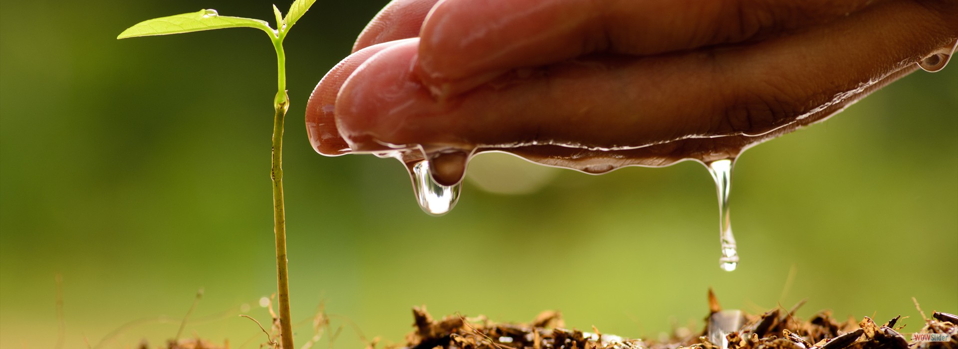 We are here to see smiles in farmers face farmer