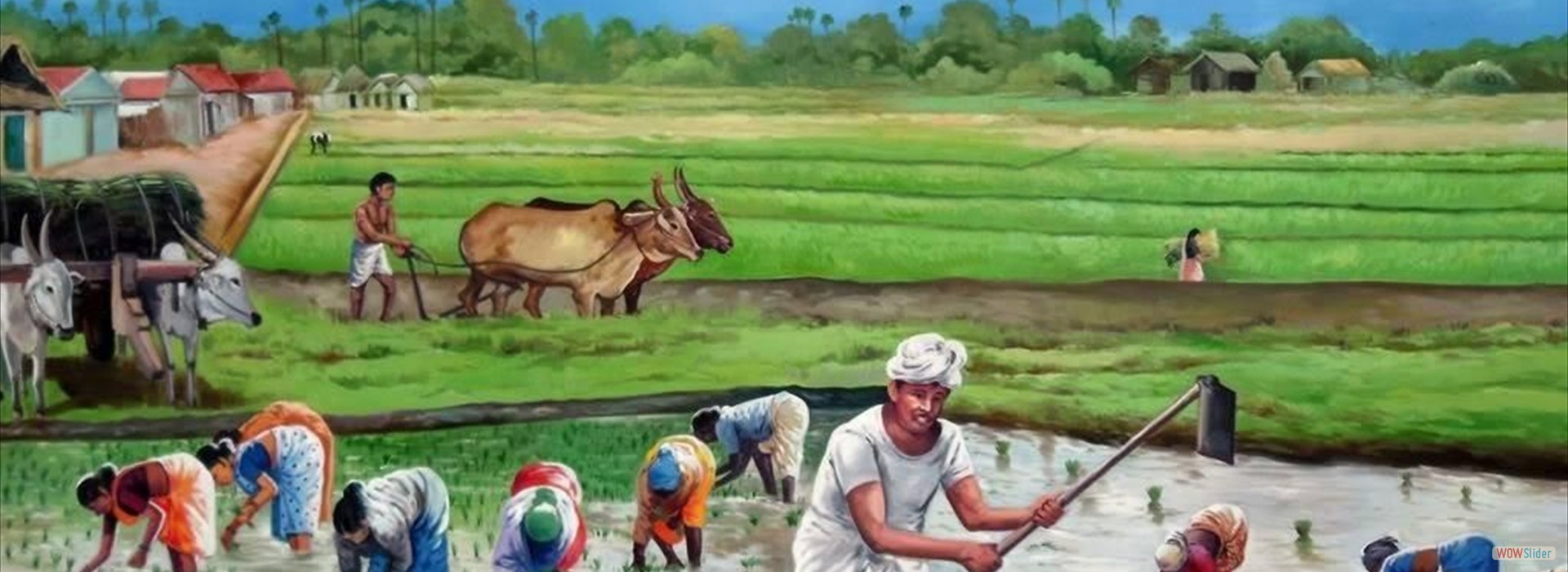 we are leading in market leading